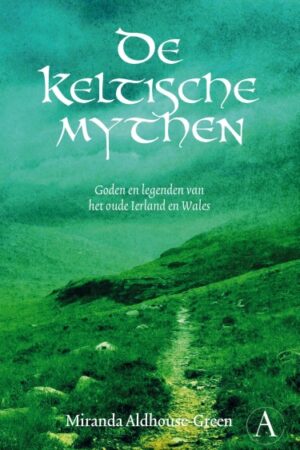 E-book: De Keltische mythen