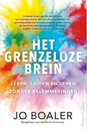 Het grenzeloze brein