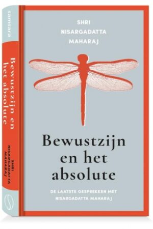 Bewustzijn en het absolute