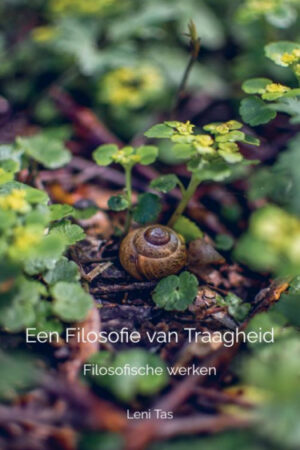 Een Filosofie van Traagheid