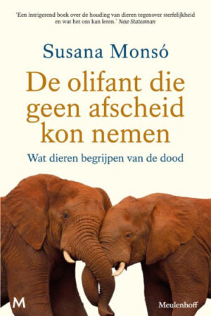 De olifant die geen afscheid kon nemen